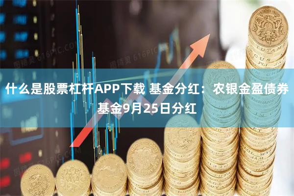 什么是股票杠杆APP下载 基金分红：农银金盈债券基金9月25日分红