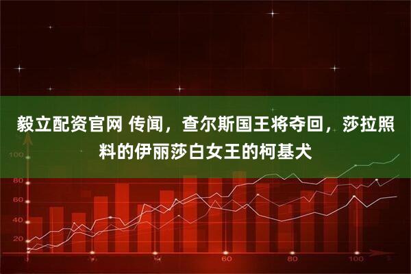 毅立配资官网 传闻，查尔斯国王将夺回，莎拉照料的伊丽莎白女王的柯基犬