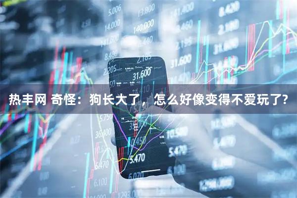 热丰网 奇怪：狗长大了，怎么好像变得不爱玩了?