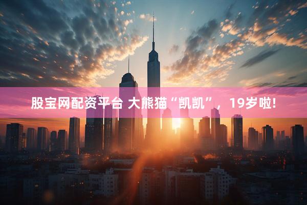股宝网配资平台 大熊猫“凯凯”，19岁啦!